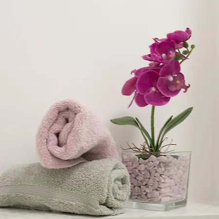 Vana & Tea Luxury アパート スプリト