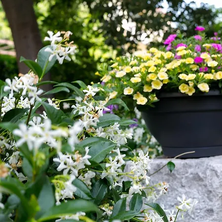 Vana & Tea Luxury スプリト