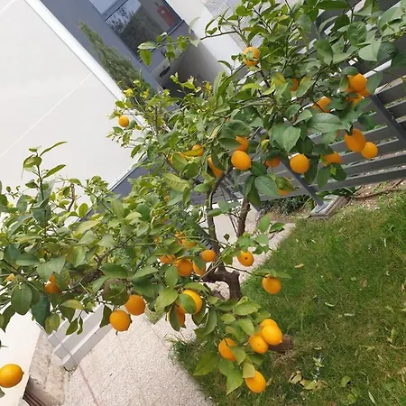 Vana & Tea Luxury Appartement *