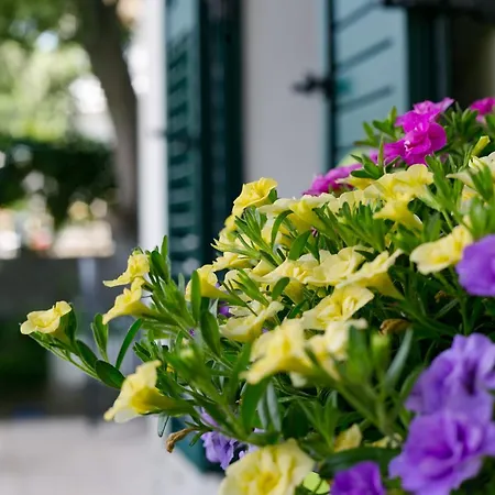 Apartment Vana & Tea Luxury Split