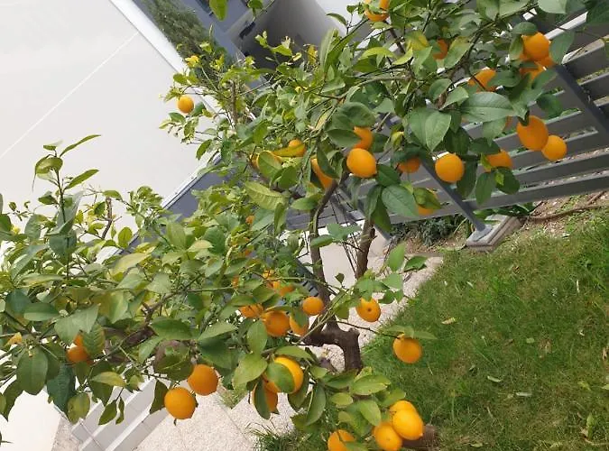 Vana & Tea Luxury Lägenhet *