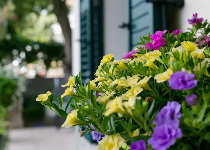 Lägenhet Vana & Tea Luxury Split