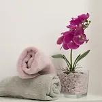 Vana & Tea Luxury Appartement Split